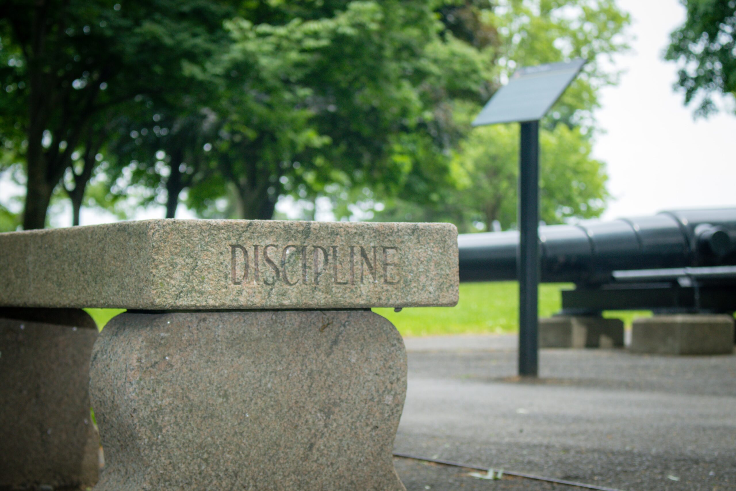 The role of discipline