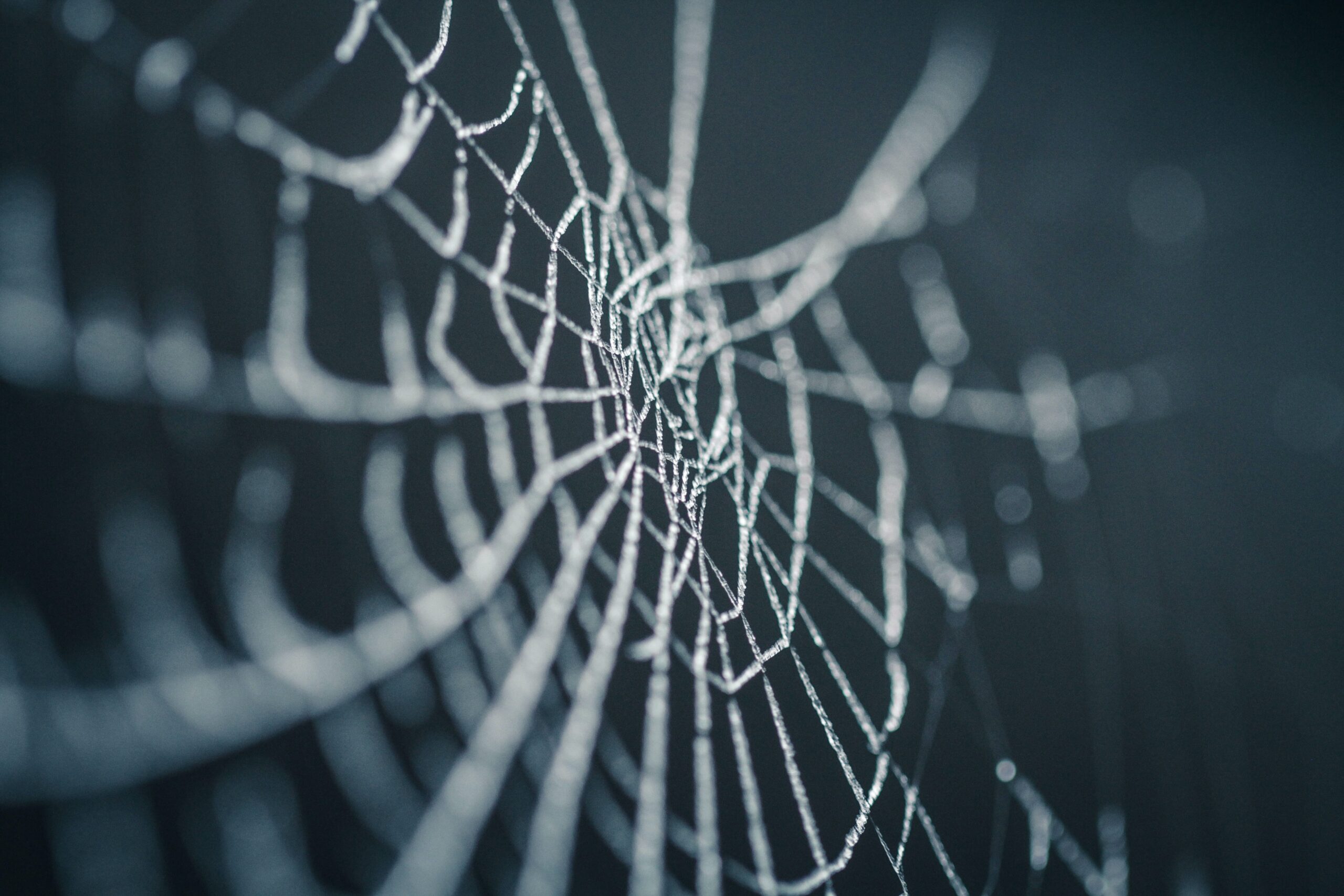 The web others weave