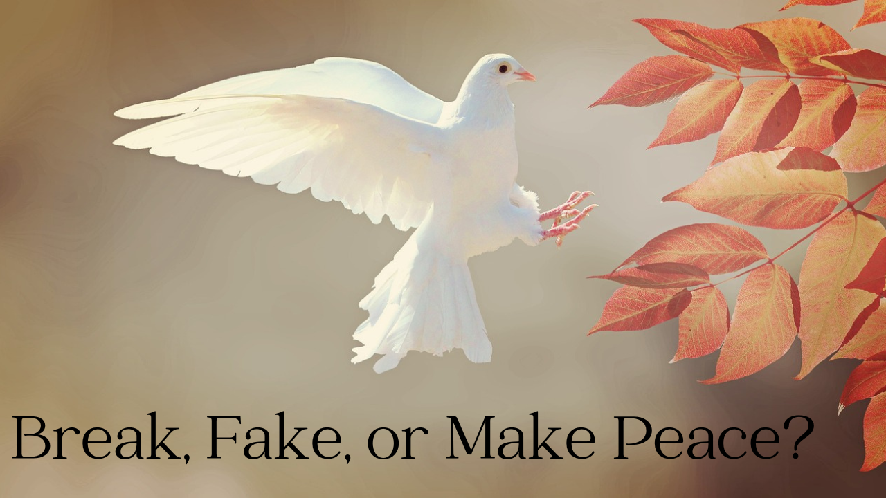Mastering the Art of Peacemaking (Video)